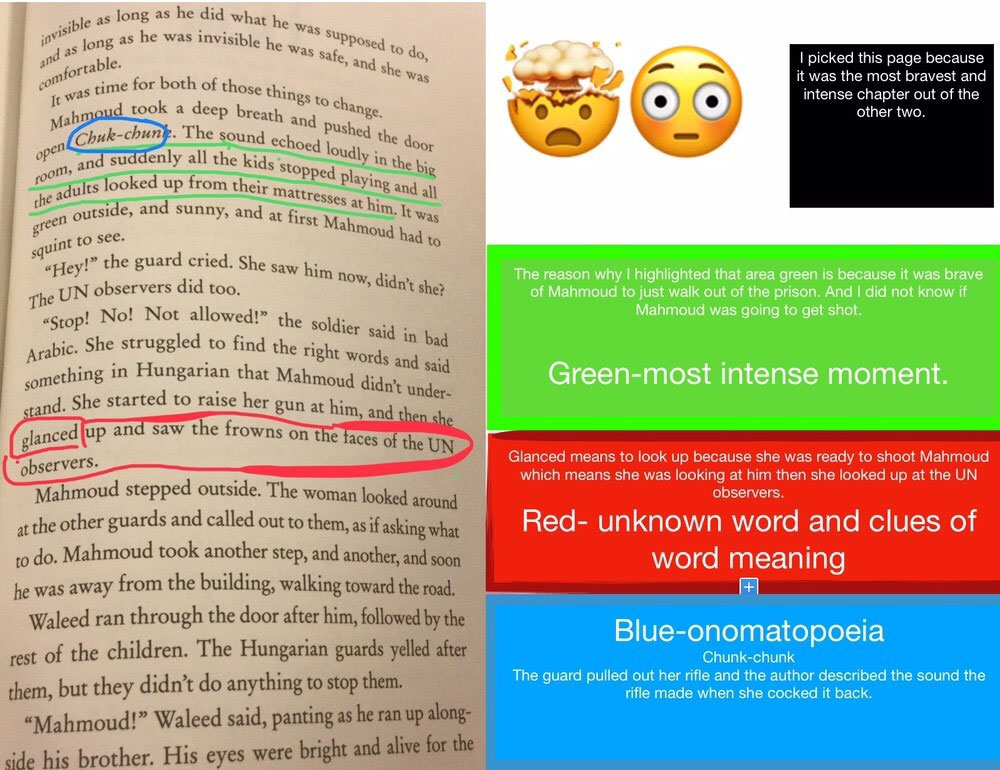 Book Snaps Using Pages